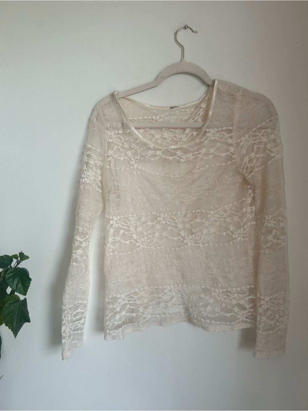 Sheer Lace Long-Sleeve Top - Cream
